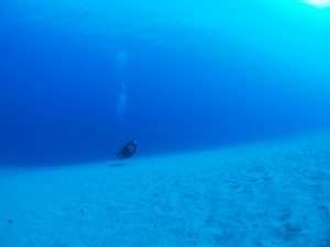究極の中性浮力