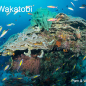 New Book: “Dive Wakatobi” by Pam & Wayne Osborn