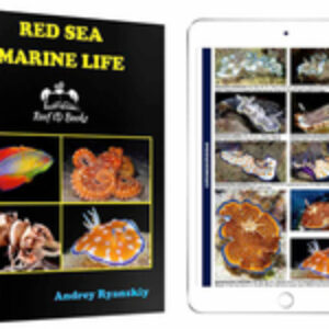 New Book: “Red Sea Marine Life” by Andrey Ryanskiy