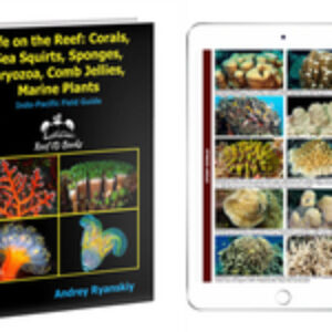 New Book: “Life on the Reef: Corals, Sea Squirts, Sponges, Bryozoa, Comb Jellies, Marine Plants” by Andrey Ryanskiy