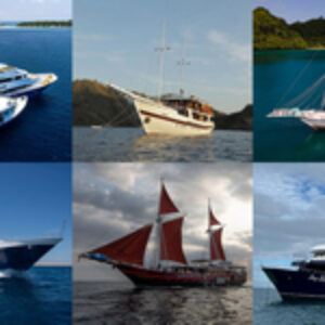 Master Liveaboards Offering Up to 40% Oﬀ Trips for a Limited Time