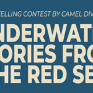 Camel Dive Club Launches Anniversary Contest: Underwater Stories from the Red Sea