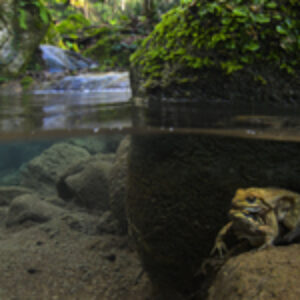 Photographer of the Week – Emanuele Biggi