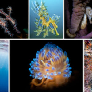 DPG’s 10 Best Travel Articles of 2025