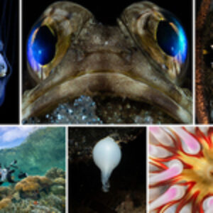 DPG’s 10 Top Feature Stories of 2025