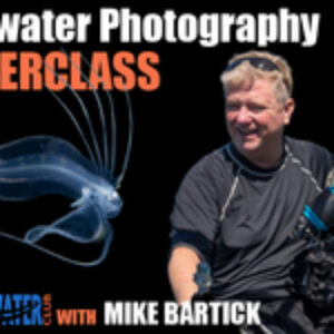 The Underwater Club Event: Blackwater Photography Masterclass, with Mike Bartick