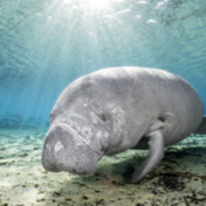 My Favorite Gear: Nauticam WWL-1/C