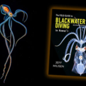New Book by Jeff Milisen: A Field Guide to Blackwater Diving in Hawaii (Second Edition)