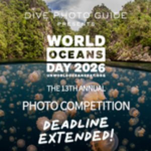UN World Oceans Day 2026 Competition: Deadline Extension!