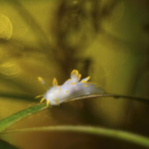 Photographer of the Week – Sandra Stalker