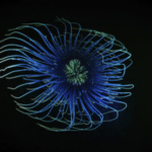 Destination Portfolio: Western Scotland, James Lynott