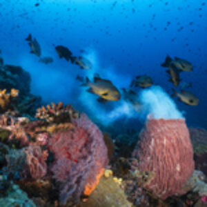 Photographer of the Week – Aaron Sanders