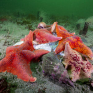 Photographer of the Week – Jake Stout