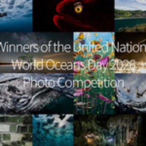 Announcing the Winners of the 13th United Nations World Oceans Day Photo Contest