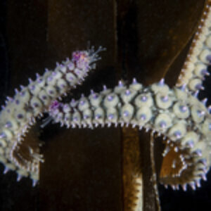Photographer of the Week – Owen Sanders