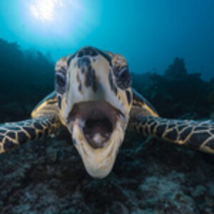Photographer of the Week – Charly Clerisse
