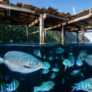 Experiencing the New SEACAM Center in Raja Ampat