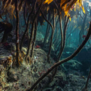 Photographer of the Week – Jethro Haynes