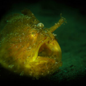 Photographer of the Week – Dave Baxter