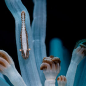 Photographer of the Week – Jo Cudmore