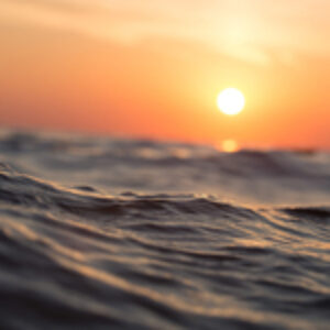 Ocean Temperatures Hit Record High for July