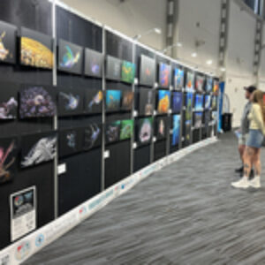 Go Diving Show ANZ 2026 Report