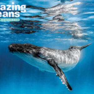 Australian Marine Conservation Society Unveils 2027 “Amazing Oceans” Calendar
