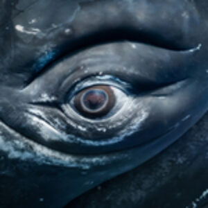 Photographer of the Week – Jono Allen