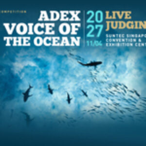 ADEX Voice of the Ocean 2027 Competition Launching in December