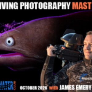 The Underwater Club Event: Muck-Diving Photography Masterclass, with James Emery