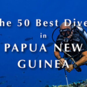 New Book by Tim Rock: The 50 Best Dives in Papua New Guinea