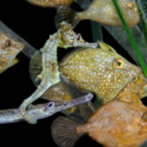 Photographer of the Week – Min-seok Jeon
