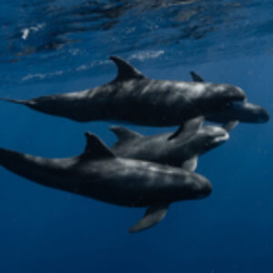 Photographer of the Week – Aimee Jan
