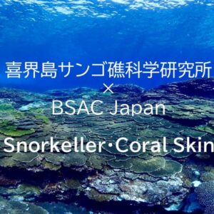 新プログラムCoral Snorkeller、Coral Skin Diver のプログラムが開始しました。