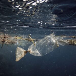 Ocean Plastics May Hold the Key to Unlocking New Antibiotics