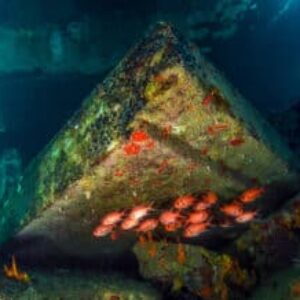 St. Croix Scuba Diving 4 Dive Sites Not To Miss Out On