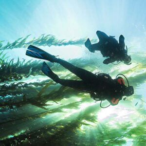 Sharing the Dream: Recruit Instructors from your Open Water Divers￼