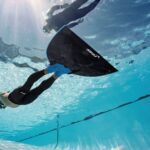 PADI Freediver Program – New Course Opportunities!