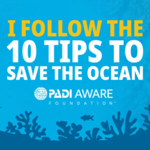 Something New for the Blue: Introducing the New PADI AWARE Specialty Course