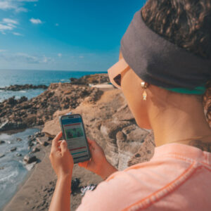 PADI Adventures: 2025 Year in Review