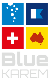 BlueKAREMだいぶプロフェッショナル情報サイト