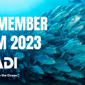PADI Member Forum 2023, Portugal.