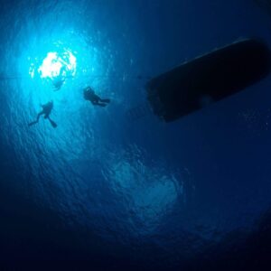 How to - Free Descent