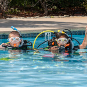 Dive Into Fun With The Refreshed PADI Seal Team Program