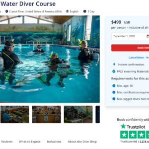 Get Your Dive Activities Ready for AI Search