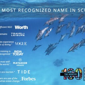 PADI Members in the Press: A Wrap-up of 2025’s Press Highlights