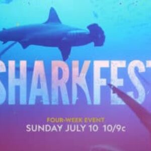 Nat Geo’s ‘Sharkfest’ 10-Year Anniversary Premiere Announced