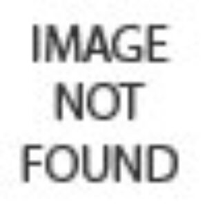 Shallow Depth of Field: Make Your Subject Stand Out